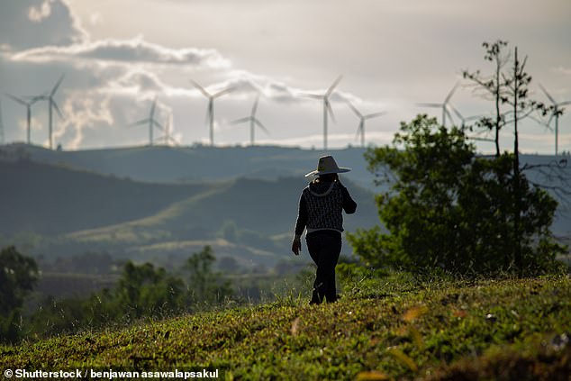 Australia is creating a $2 billion green energy investment fund for Southeast Asia. Pictured is the wind farm system in Khao Kho district, Phetchabun, Thailand.