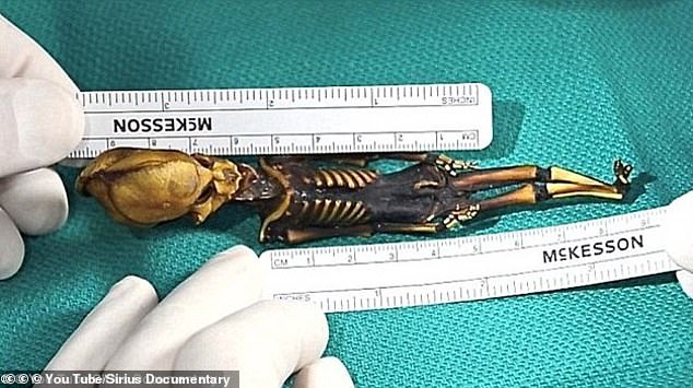 Previous 'aliens' and tiny humanoids (pictured) have been studied by experts and all have common characteristics that can be explained by soft tissue mummification in fetuses or premature babies.