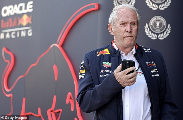 Red Bull motorsport advisor Dr Helmut Marko is closely allied with the Verstappen family