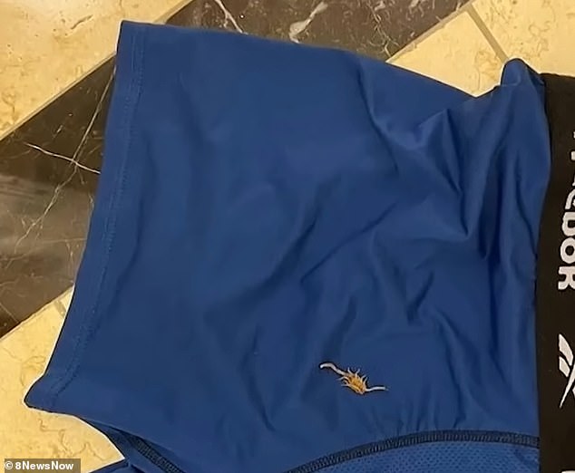 In one of the photos, the venomous creature was attached to Farchi's pair of blue Reebok boxers, confirming his claims about the biting incident.