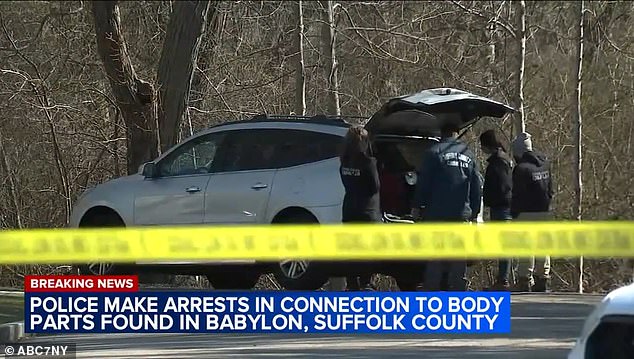 State police told the outlet they were also investigating a separate address in Bethpage State Park, about 15 miles from the park where the body parts were found, in connection with the case.