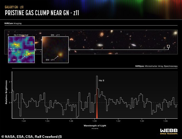 A small box identifies GN-z11 in a field of galaxies (top right). In the middle you can see it enlarged. The far left frame shows the halo of helium gas around the galaxy, including a clump that cannot be seen in the infrared colors in the middle frame. The graphic at the bottom shows the distinctive light signature of helium and no other element. The scientists concluded that this must mean that the helium mass is a pristine remnant of the Big Bang.