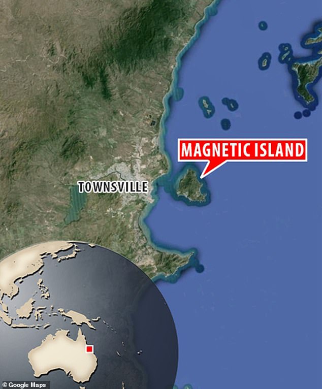 The boy was swimming in a pool at a house in Nelly Bay on Magnetic Island, located off the coast of Queensland (pictured) on Tuesday night when he got into trouble.