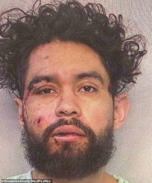 Raúl Benítez Santana, 33, crashed his truck into Gadd's patrol car when he turned onto the shoulder while driving at high speed. He had bloodshot eyes and admitted that he had smoked marijuana and drunk before driving.