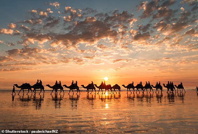 Residents fear that youth crime in Broome will ruin its tourism industry, which sees thousands of people flock to the town annually to enjoy its famous Cable Beach and camel rides (above).