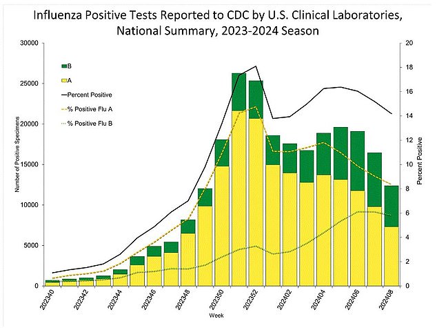 According to the latest data from the CDC, which compiles information from 3,400 hospitals across the country, just over 14 percent of tests came back positive for the flu in the U.S. during the week ending the 24th. February, a slight decrease compared to the previous week.