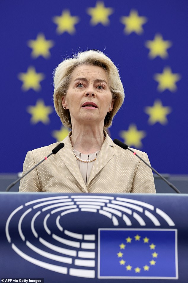 The European People's Party is a key supporter of von der Leyen, president of the European Commission, one of the highest officials in the European Union.