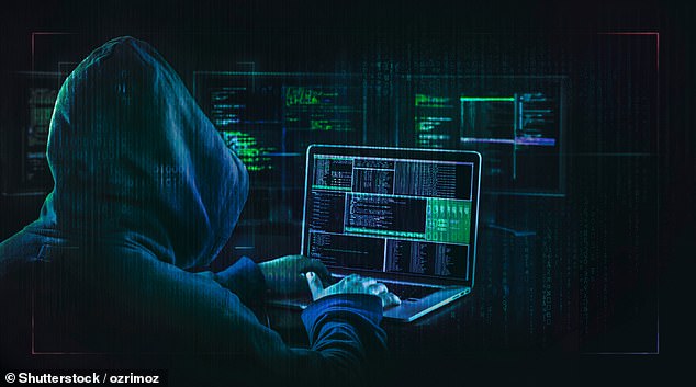 Hackers attacking a DNS would be an effective way to take down a website and cost thousands of dollars per minute, a cybersecurity expert told DailyMail.com.