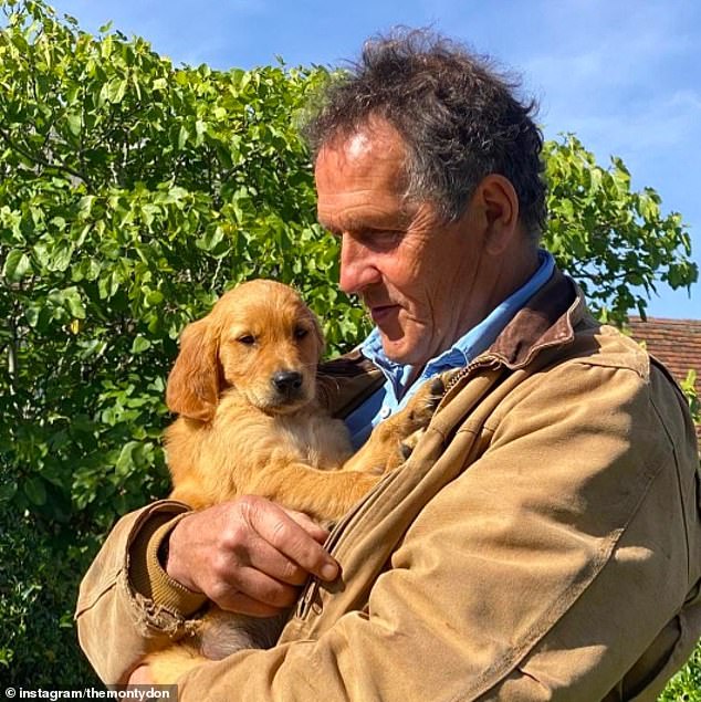Viewers have come to love the adorable Golden Retriever, who Monty and his wife welcomed into their family in October 2022 (pictured as a puppy).