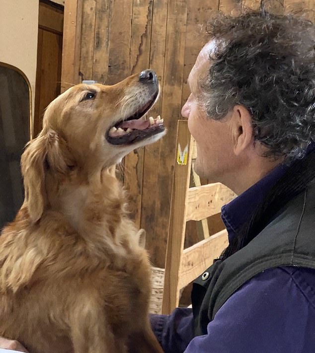 Don with Nell as an adult;  She began appearing on the show in 2016 alongside Don's other Golden Retriever, Nigel.