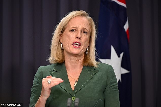 Finance Minister Katy Gallagher (pictured) will announce the reform and strategy at the National Press Club on Thursday.
