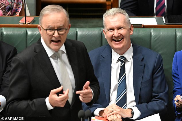 Employment and Workplace Relations Minister Tony Burke (pictured in parliament in February) racked up a $57,000 bill in four days during a four-day trip to the United States in 2022.