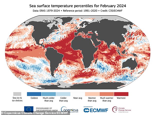 Pictured, sea surface temperature in February 2024. This is a separate metric to measure how hot the world is.