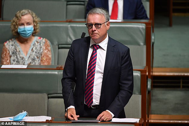 Fitzgibbon (pictured 2022) was a member for the Hunter region from 1996 to 2022 and former defense minister from 2007 to 2009.