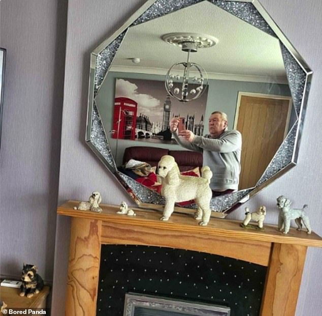 Mirror selfies in this British home also reveal some intriguing interior design choices, including a display of model poodles.