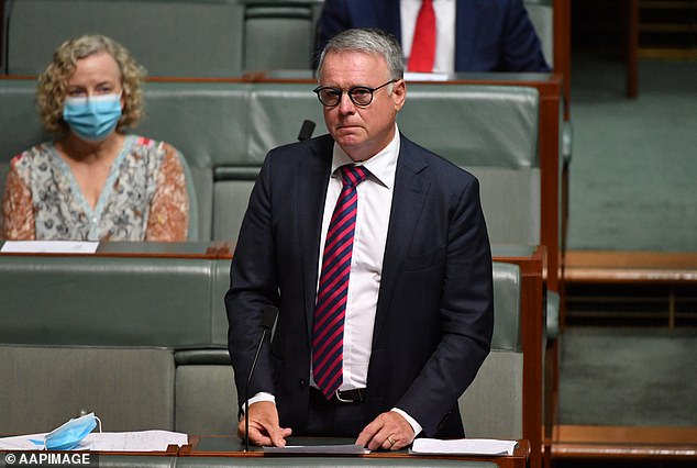 Fitzgibbon (pictured 2022) was a member for the Hunter region from 1996 to 2022 and former Defense Minister from 2007 to 2009.
