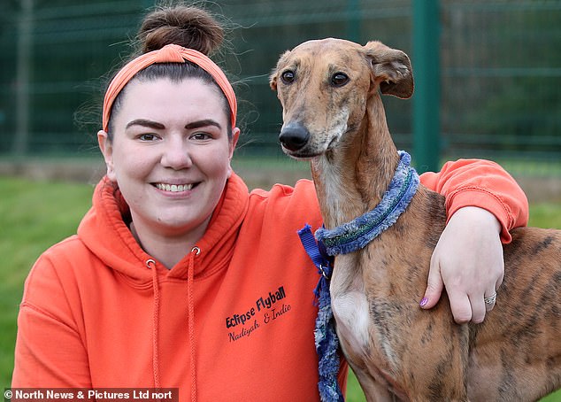 Indie, which is a type of greyhound known as a Sloughi, is among the animals who beat the odds and made it to Crufts.