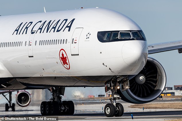 Air Canada said the plane was inspected upon arrival at London Heathrow airport to ensure no damage affected the safety of the flight (File image)