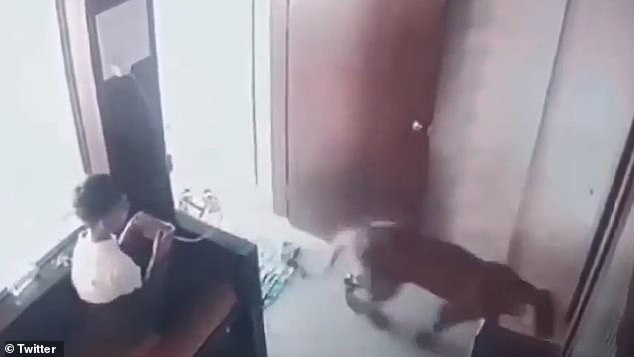 Footage showed the leopard fully entering the small room as the boy watched in horror and planned his escape.