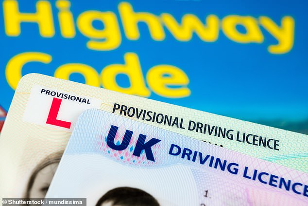 The Highway Code establishes that drivers on highways and expressways must use the left lane unless they are overtaking (file image)