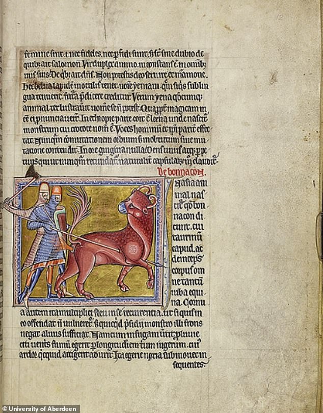 The full page of the Aberdeen Bestiary, a medieval manuscript kept at the University of Aberdeen that belonged to King Henry VIII.