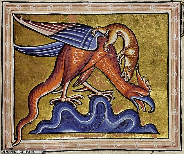 The Aberdeen Bestiary is one of the most luxurious ever produced, probably created for the enjoyment of many.  In the photo, a basilisk attacked by a weasel.