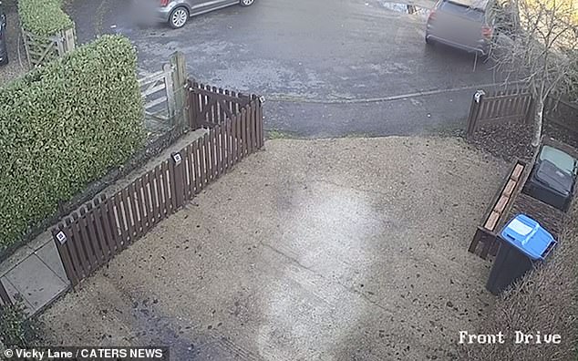 The account manager almost knocked down a fence while trying to rescue her car