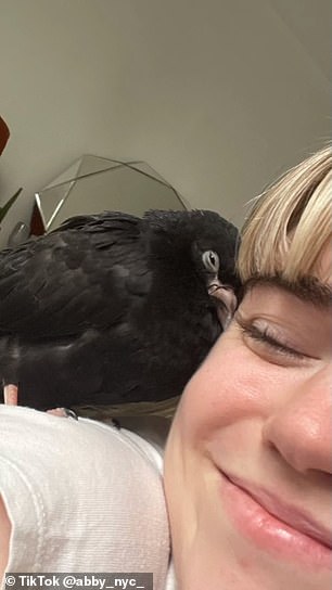 The 26-year-old's unlikely companion is a 'pouch pigeon', creatively named Pidge, whom she rescued from a pile of rubbish in May 2023.