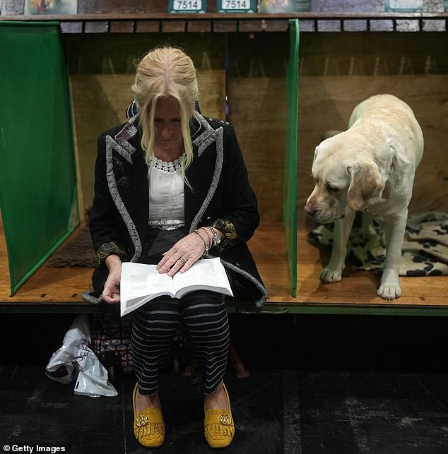 A Labrador and his handler wait for them in the ring, both concentrating with blonde streaks in their hair.