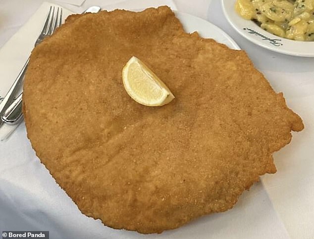Another diner ordered schnitzel for the first time in Austria and his meal was larger than the plate.