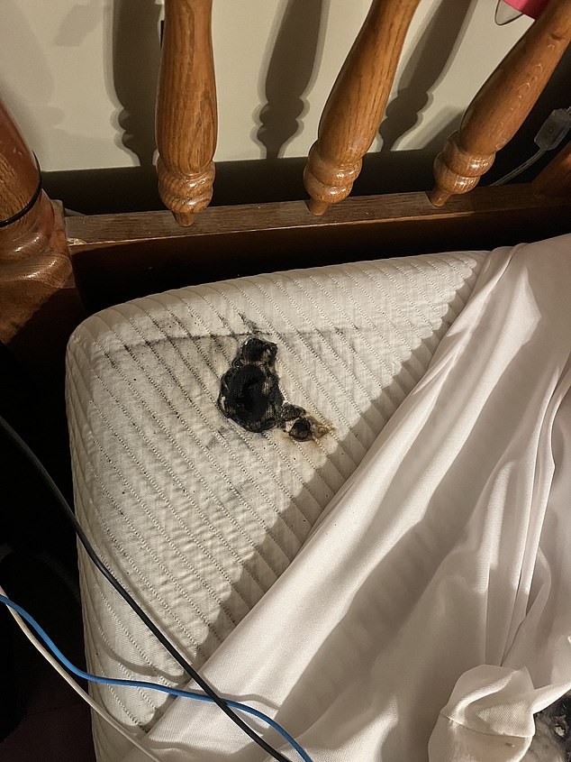 A woman named Marine was also a victim of the Elf Bar explosion last year.  She posted on a forum that she had bought a new Crystal Elf Bar and plugged it in while she kept it on her bed, which also exploded.