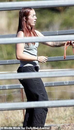Harbor showed off her tattoos when she was seen tending a horse on Friday.