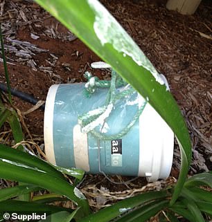The vandals dumped the paint can in Mr Du Bray's garden and returned two weeks later with star pickets.