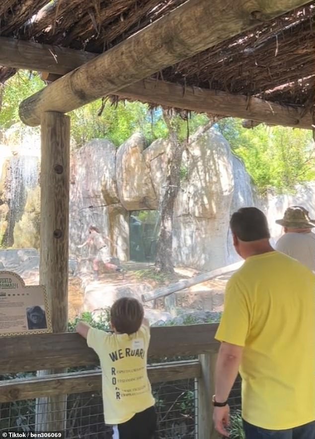 The Fort Worth Zoo confirms that no one was injured as a result of the incident
