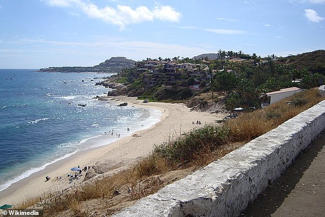 But he confirmed to the San Francisco Standard that he still lives in San José del Cabo (pictured) and shared a photo of himself clean-shaven and wearing the T-shirt of a neighborhood clean-up organization.