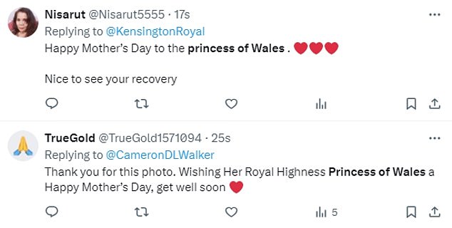 Social media users took to X to wish Princess Kate a happy Mother's Day after new photos of her were released.