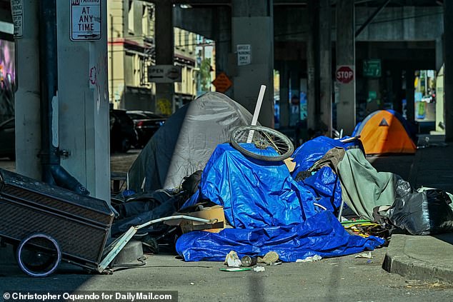 The free drug market in Oregon has also caused the number of homeless people to increase.  (Pictured: A homeless camp under the Morrison Bridge in Portland, Oregon in August 2023)