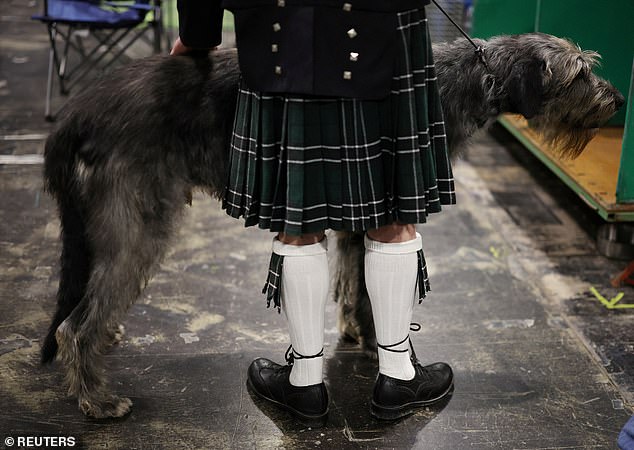 An Irish wolfhound with his owner, who is wearing a kilt, at the Crufts dog show in Birmingham