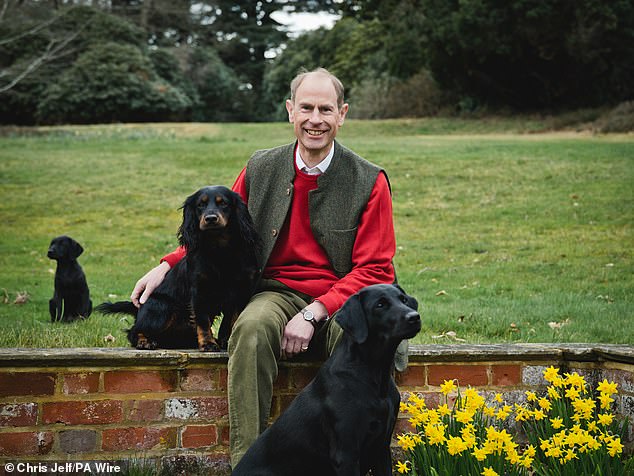 In the images, Prince Edward wears a red sweater under a dark button-down vest and smiles with his three dogs: Labrador Teal, cocker spaniel Mole and puppy Labrador Teasel.