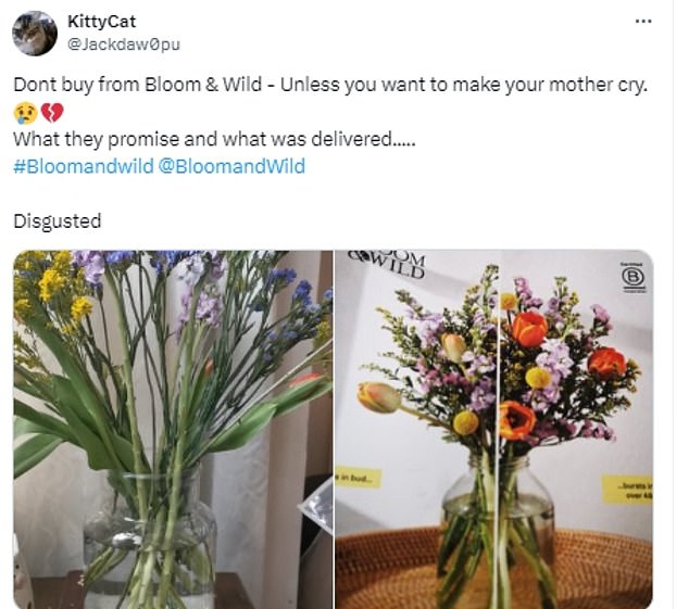 This person was disappointed to receive a very meager bouquet of flowers instead of the abundant one that was advertised.