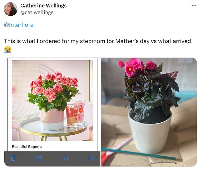 Unfortunately for Catherine's mother, the plant on the right did not match the image on the left.