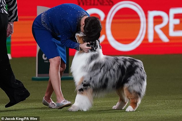 Three-year-old Viking, from Solihull, Birmingham, beat 24,000 dogs from around the world over the past four days to claim the show's top honors tonight