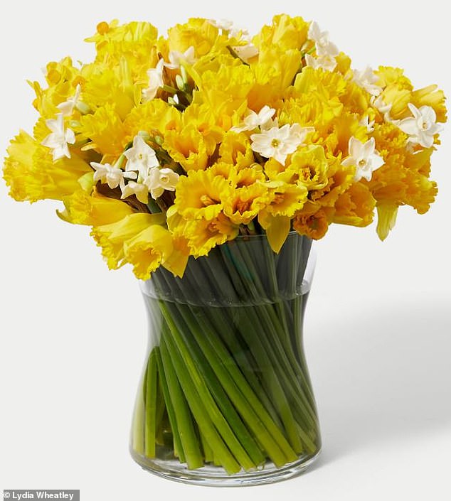 Since plastic vases tend to harbor bacteria due to the porous material, opt for one that is glass or ceramic.