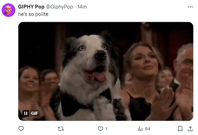 1710124046 436 Oscars 2024 Anatomy of a Fall DOG Messi earns viral