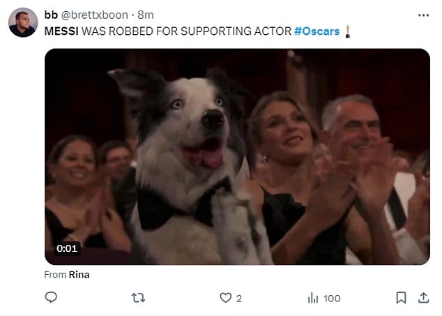 1710124046 612 Oscars 2024 Anatomy of a Fall DOG Messi earns viral