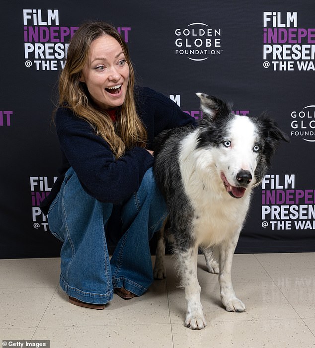 The dog also got close to Olivia Wilde at the Film Independent Live Read of Anatomy of a Fall back in February