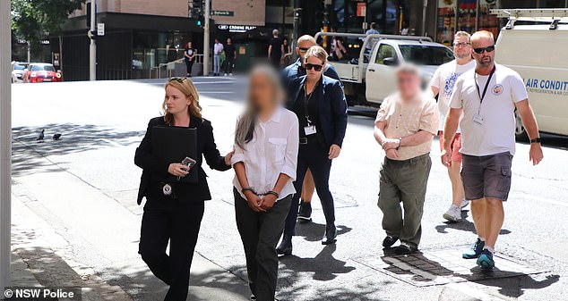 Kamm and his partner were arrested in Sydney (pictured) on Monday and have been charged with several offenses including fostering illegal sexual activity