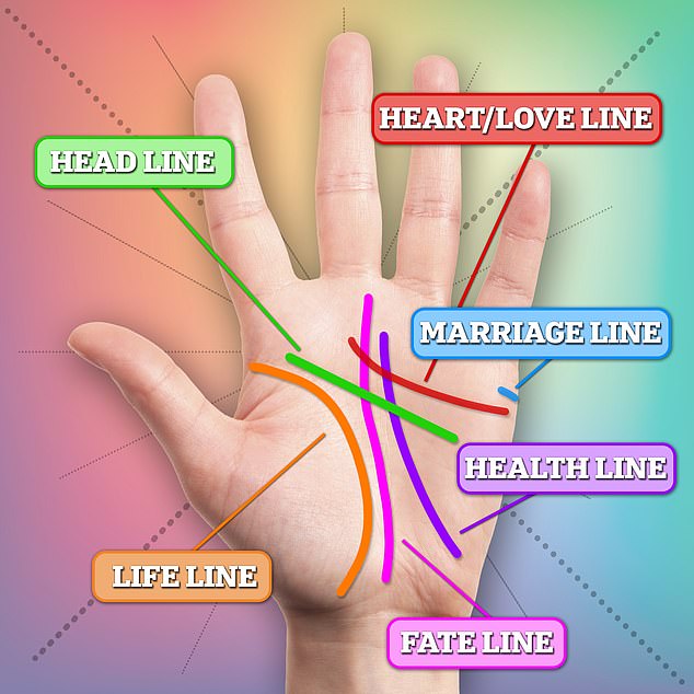 The lines on the palm include the life line (health), the head line (intellectual abilities) and the heart line (emotional state and relationships).