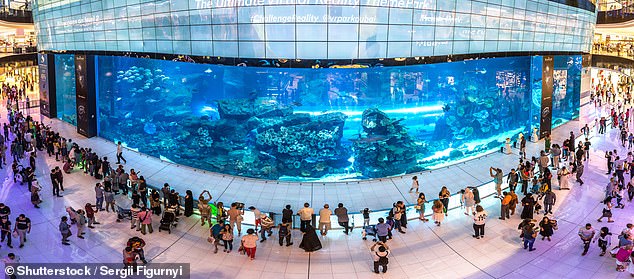 Dubai Mall saw its 2022 visitor total of 88 million increase by 19 per cent. Above is the mall's epic aquarium.