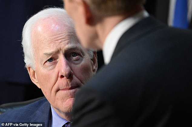 'I am concerned that among the people coming across the border and evading law enforcement, there are some people among them who want to do us harm. Do you share that concern?' Cornyn asked